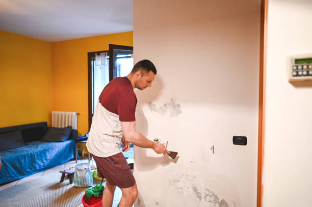 Best Mold Damage Repair  in Liberty, PA