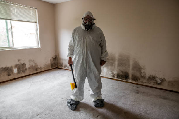 Mold Testing and Removal in Liberty, PA